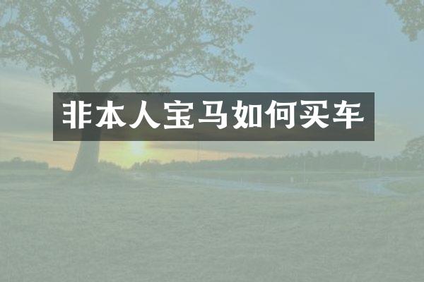 非本人宝马如何买车