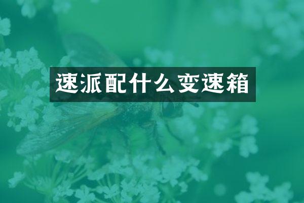 速派配什么变速箱