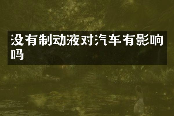 没有制动液对汽车有影响吗