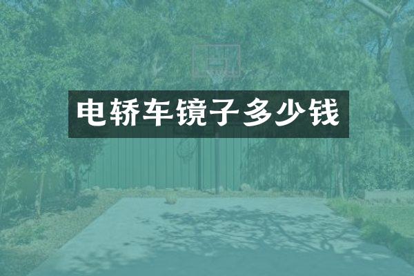 电轿车镜子多少钱