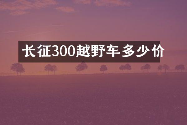 长征300越野车多少价
