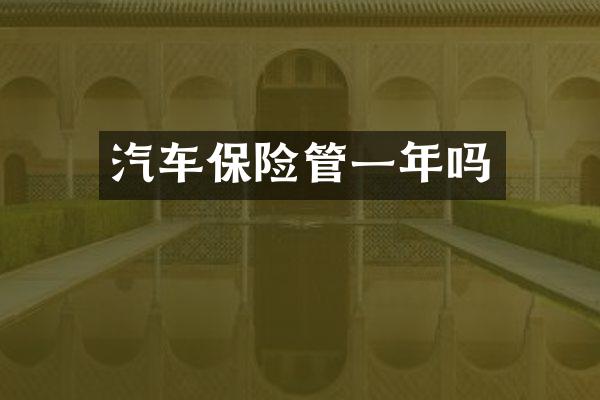 汽车保险管一年吗
