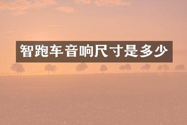 智跑车音响尺寸是多少