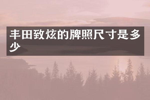 丰田致炫的牌照尺寸是多少