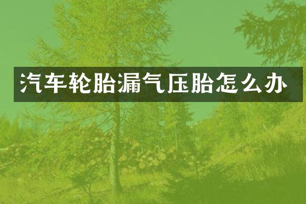 汽车轮胎漏气压胎怎么办