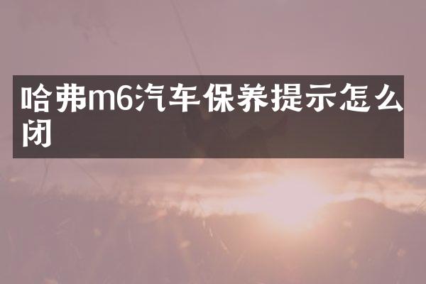 哈弗m6汽车保养提示怎么关闭