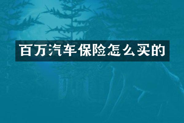 百万汽车保险怎么买的