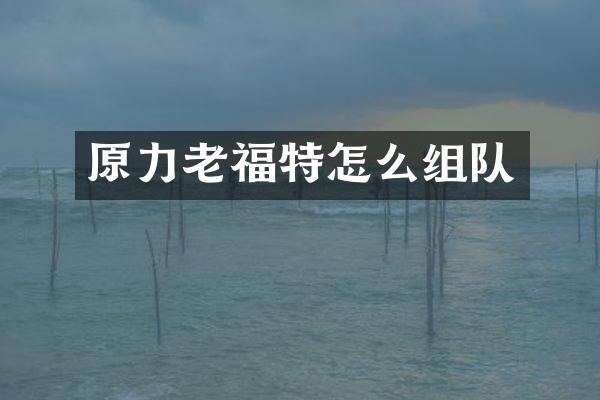 原力老福特怎么组队