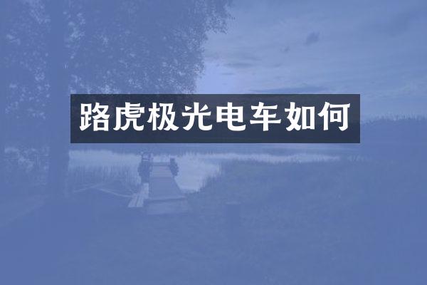 路虎极光电车如何