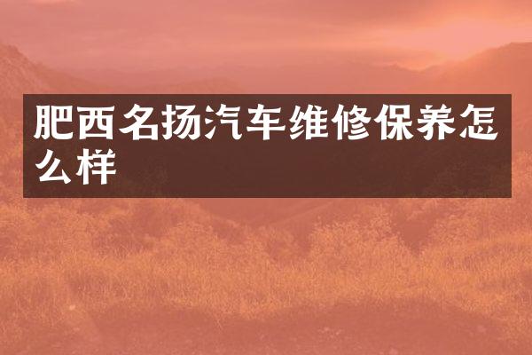 肥西名扬汽车维修保养怎么样