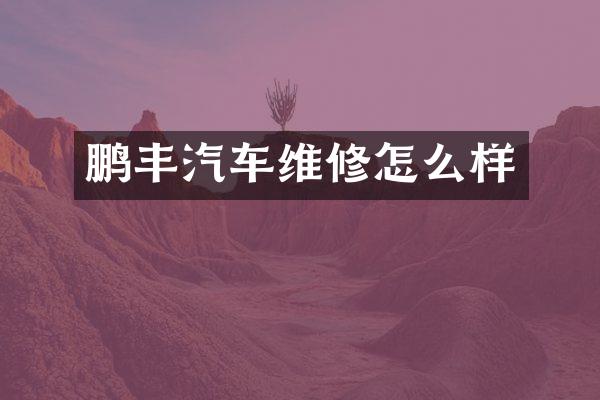 鹏丰汽车维修怎么样
