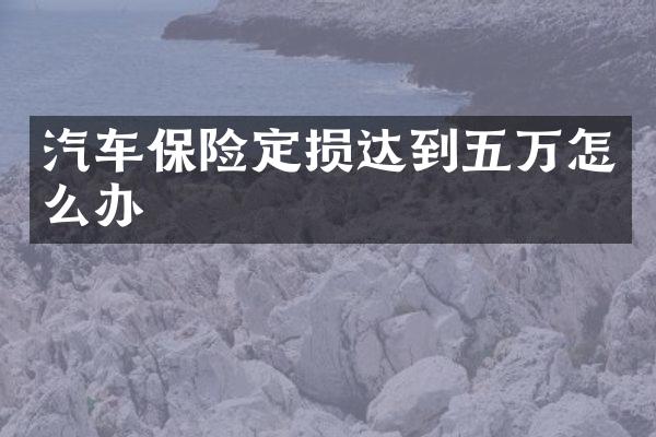 汽车保险定损达到五万怎么办