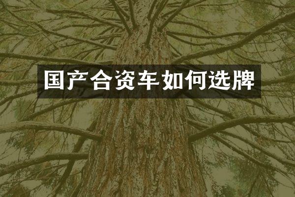国产合资车如何选牌