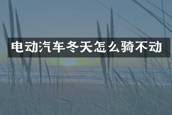 电动汽车冬天怎么骑不动