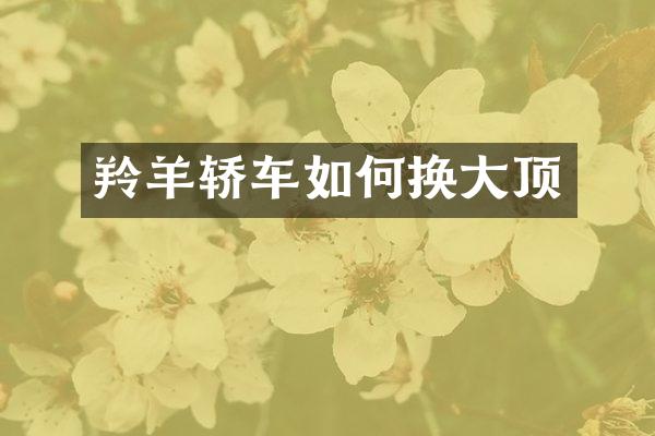 羚羊轿车如何换大顶