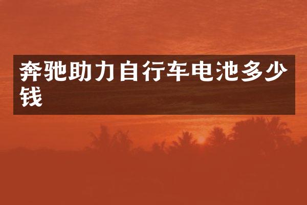 奔驰助力自行车电池多少钱