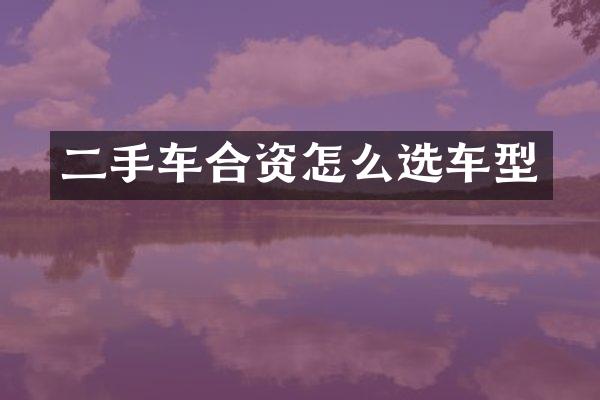 二手车合资怎么选车型