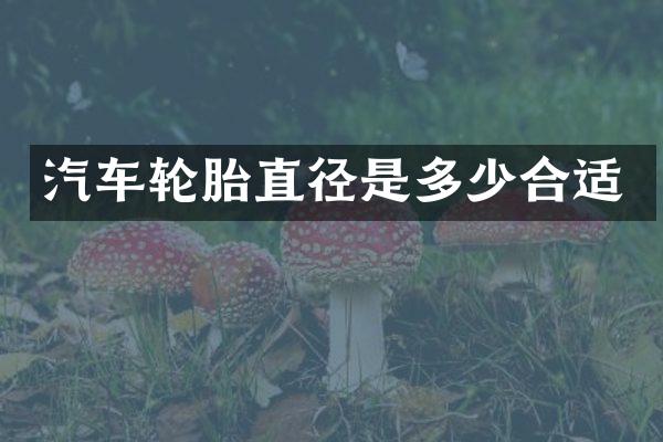 汽车轮胎直径是多少合适