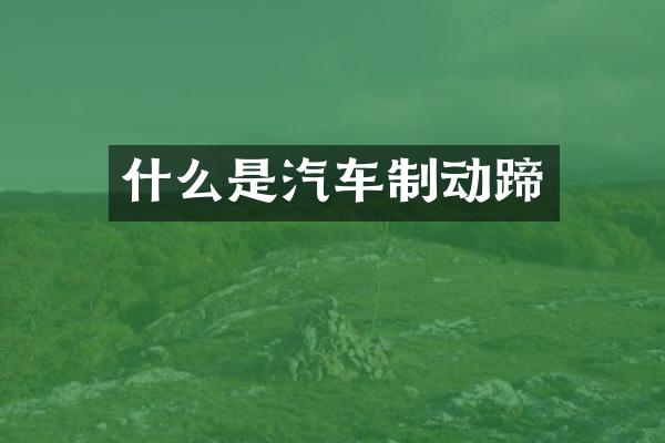 什么是汽车制动蹄