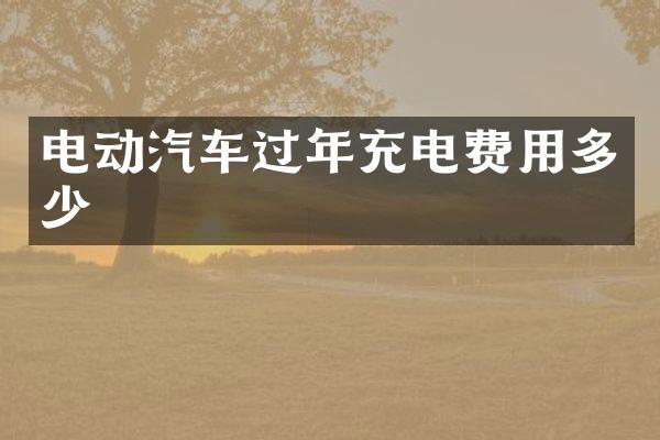 电动汽车过年充电费用多少