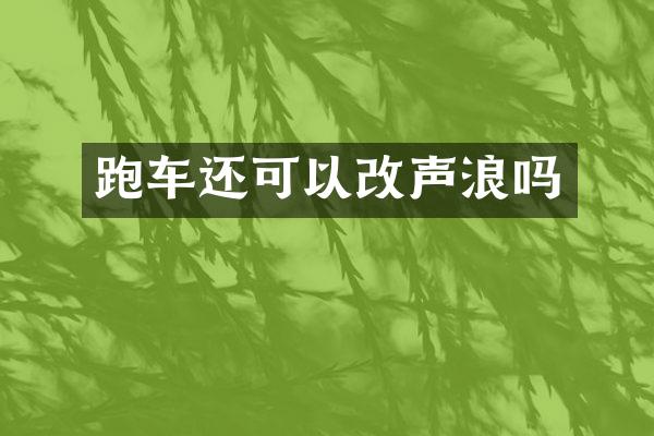 跑车还可以改声浪吗