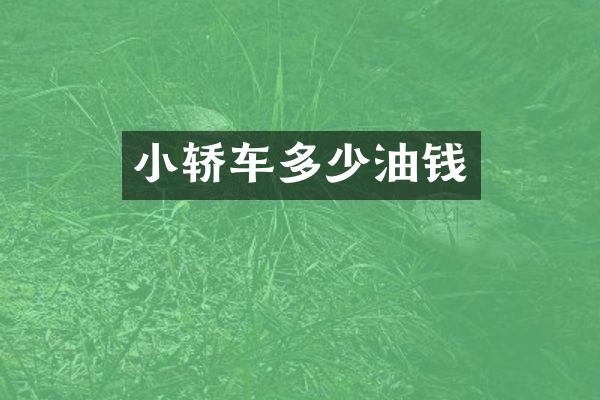 小轿车多少油钱