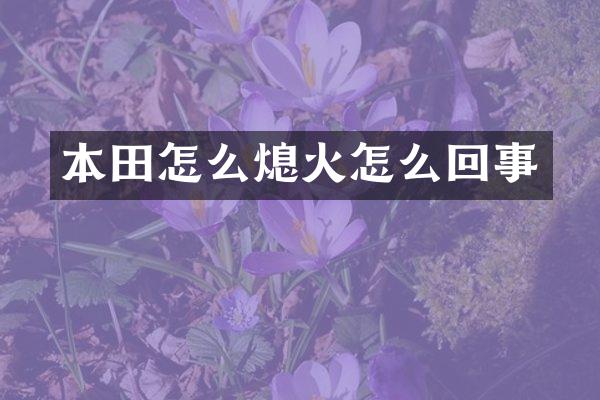 本田怎么熄火怎么回事