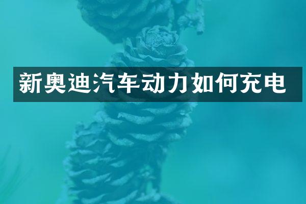 新奥迪汽车动力如何充电