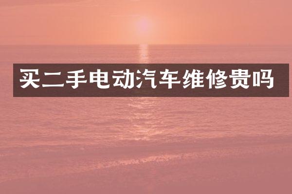 买二手电动汽车维修贵吗