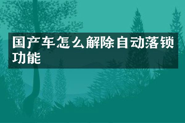 国产车怎么解除自动落锁功能