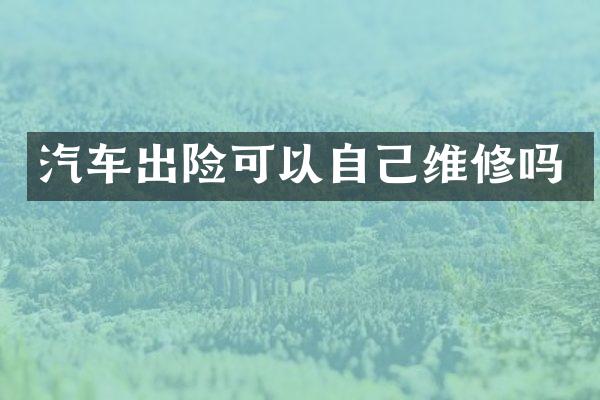 汽车出险可以自己维修吗