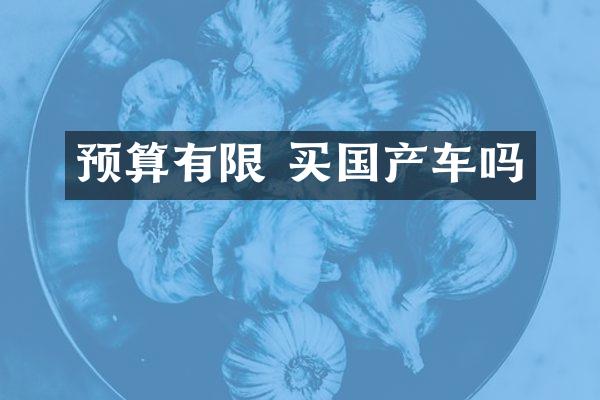 预算有限 买国产车吗