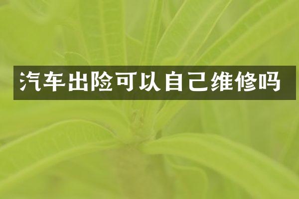 汽车出险可以自己维修吗