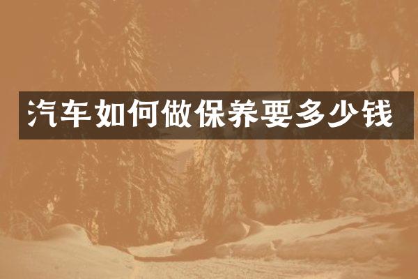 汽车如何做保养要多少钱