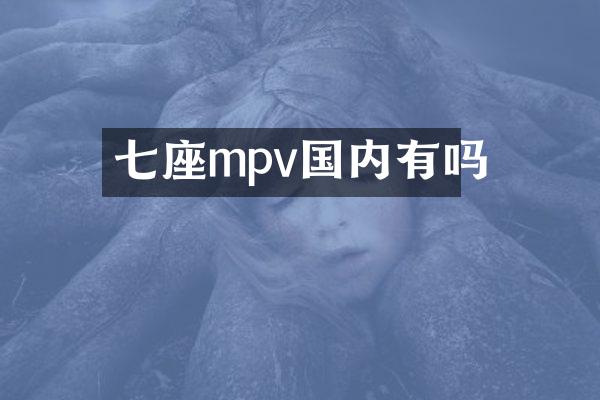 七座mpv国内有吗