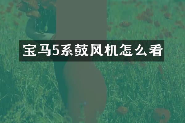 宝马5系鼓风机怎么看