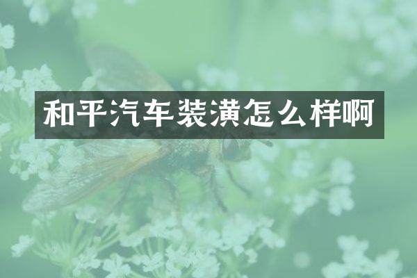 和平汽车装潢怎么样啊