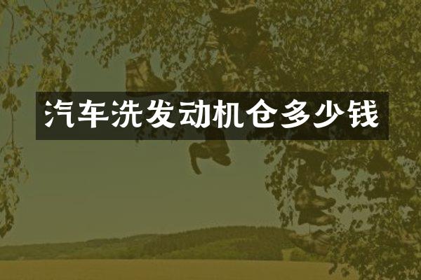 汽车洗发动机仓多少钱