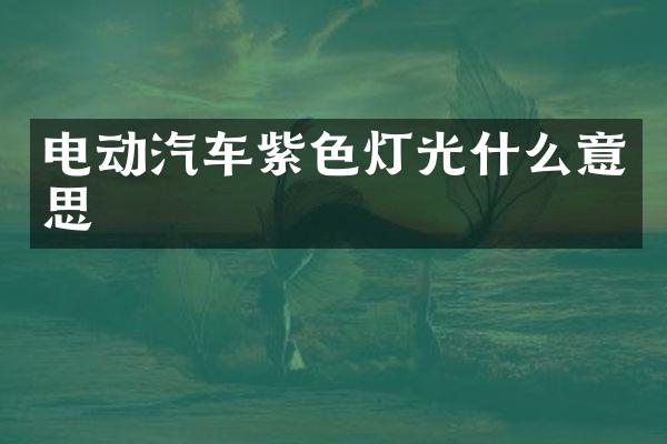 电动汽车紫色灯光什么意思