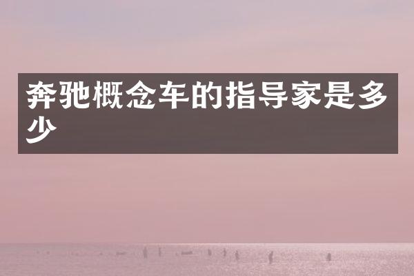奔驰概念车的指导家是多少