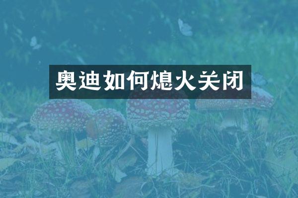 奥迪如何熄火关闭