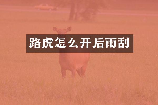 路虎怎么开后雨刮