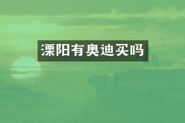 溧阳有奥迪买吗