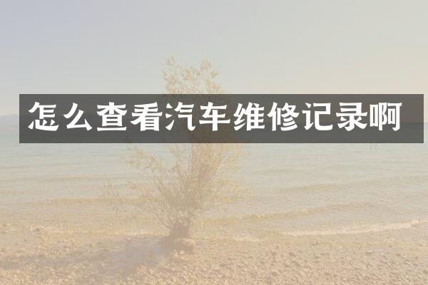 怎么查看汽车维修记录啊
