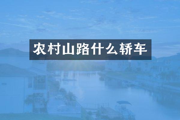 农村山路什么轿车