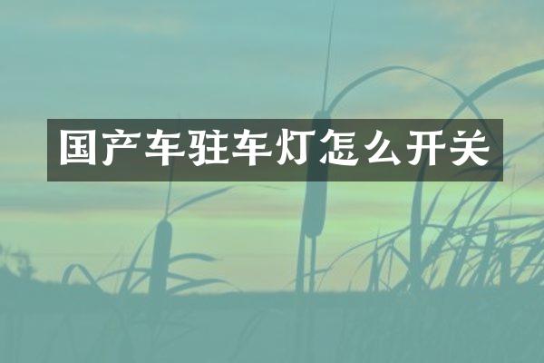 国产车驻车灯怎么开关