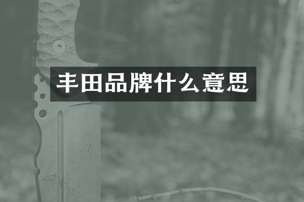 丰田品牌什么意思