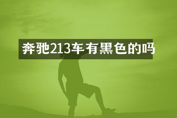 奔驰213车有黑色的吗