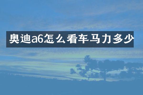 奥迪a6怎么看车马力多少