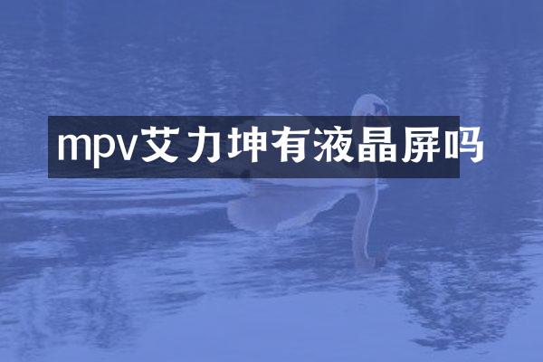mpv艾力坤有液晶屏吗